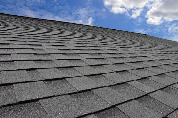 Best Metal Roofing Installation  in Pinellas Park, FL